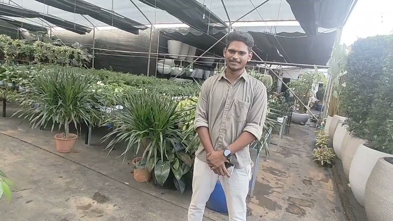 🧐😳😍ആറുലക്ഷം രൂപയുടെ ചെടിയോ😳😍😝🥰#Chris Bottle Crafters#plants# Muvattupuzha#viralvideo#Youtube#