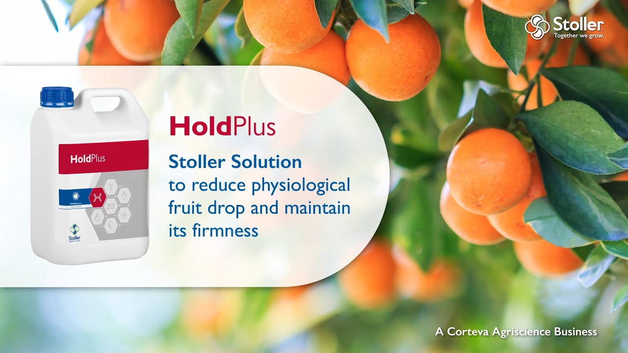HoldPlus | Reduce losses caused by fruit drop