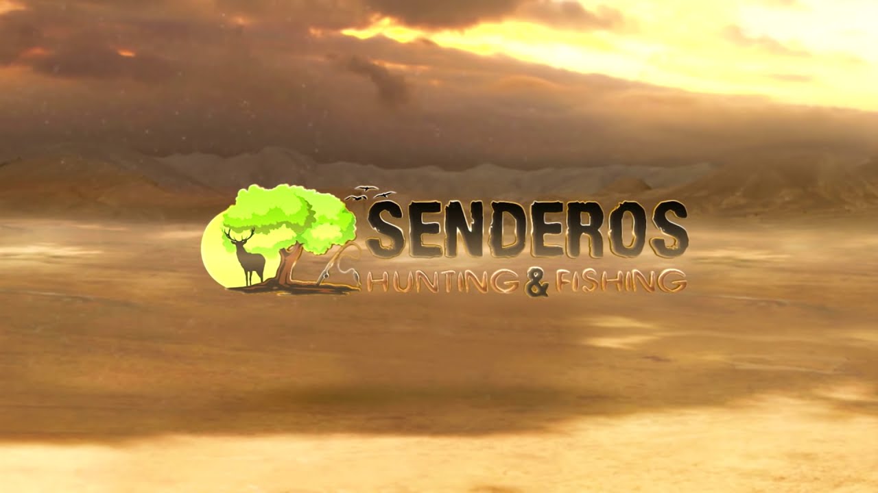 Reclamo de Perdiz en Sierra Morena