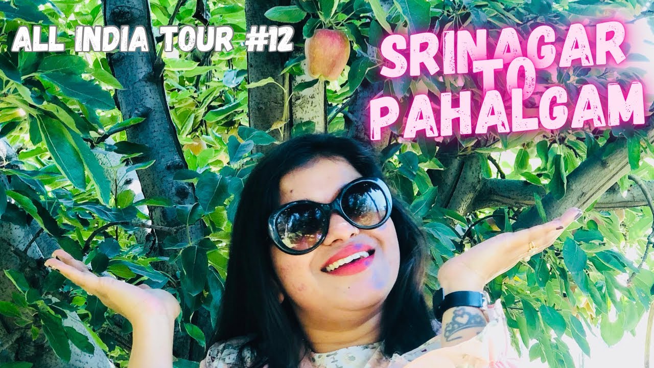 SRINAGAR TO PAHALGAM || KASHMIR BY ROAD || VALLEY OF SHEPHERDS || SIGHTSEEING IN KASHMIR || INDIA