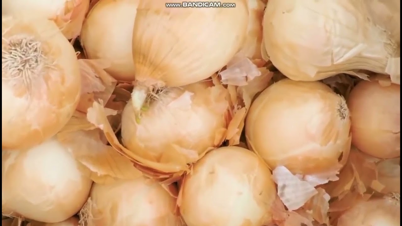 15 Effects of Onion and What You Did Not Know 11 may