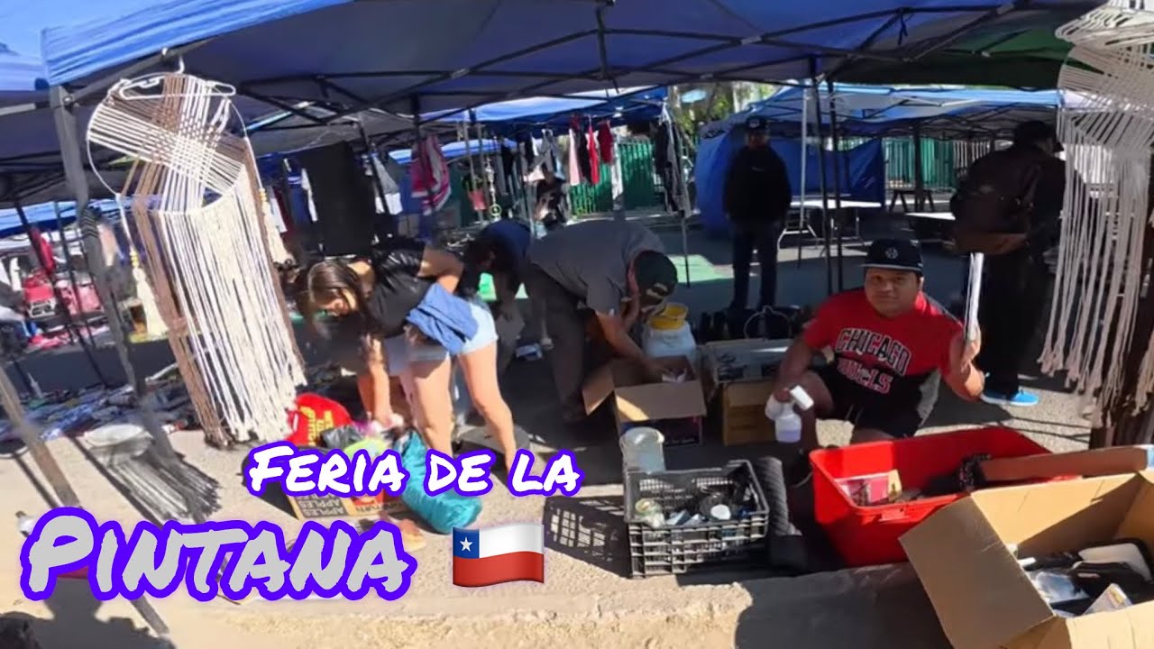 “La Pintana 🇨🇱: TODO se vende a $500 ¡Impresionante!”