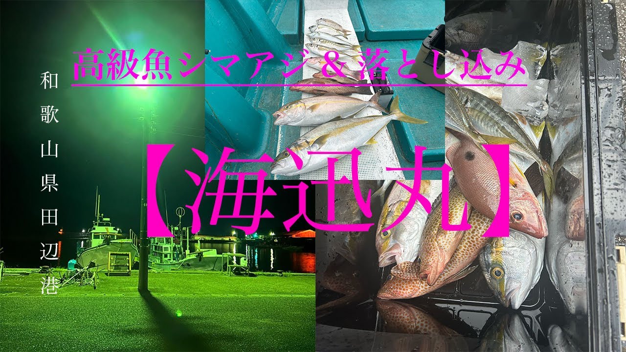 高級魚シマアジ&落とし込み【和歌山県田辺港/海迅丸】