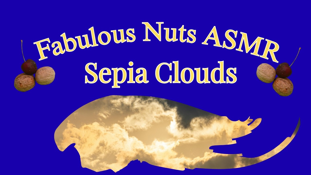 ✨ Vintage Sepia Clouds ☁️ Melancholic Ambient Music for Sleep & Study