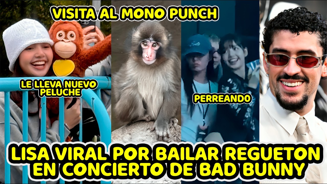 LISA VIRAL POR BAILAR REGUETON EN CONCIERTO DE BAD BUNNY Y VISITAR AL MONO PUNCH Y DARLE PELUCHE