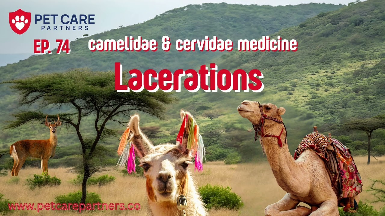 EP 74 | Lacerations in Camelidae & Cervidae