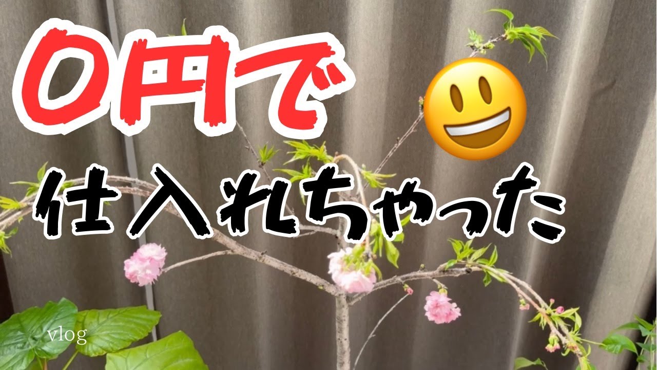 昭和レトロな雑貨をもらってしまいました！嬉しい驚き！