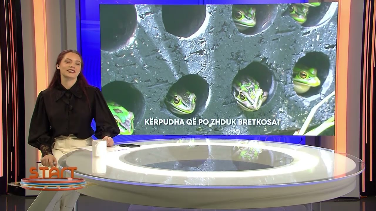 Kërpudha e panjohur që po shkatërron ekosistemin