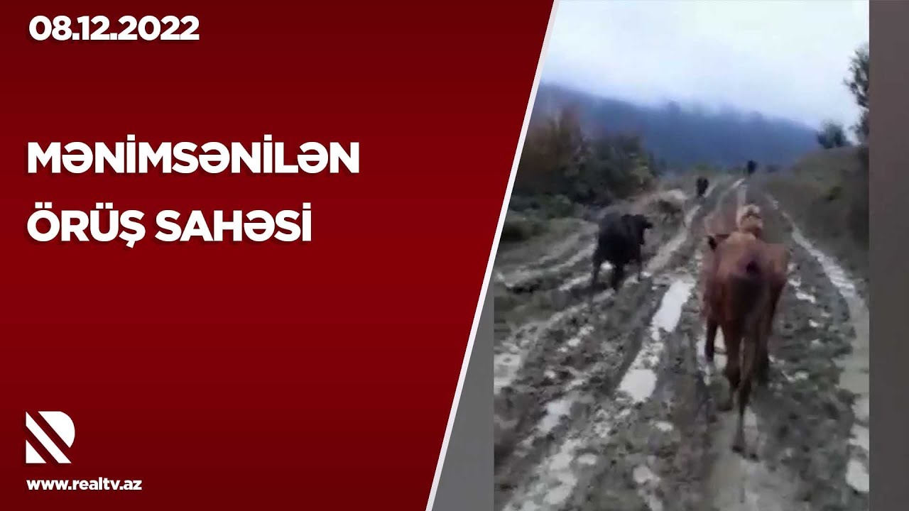 Mənimsənilən örüş sahəsi - Lənkəran ŞİH: İstifadə üçün ayrılan otlaq sahəsi zəbt olunmayıb