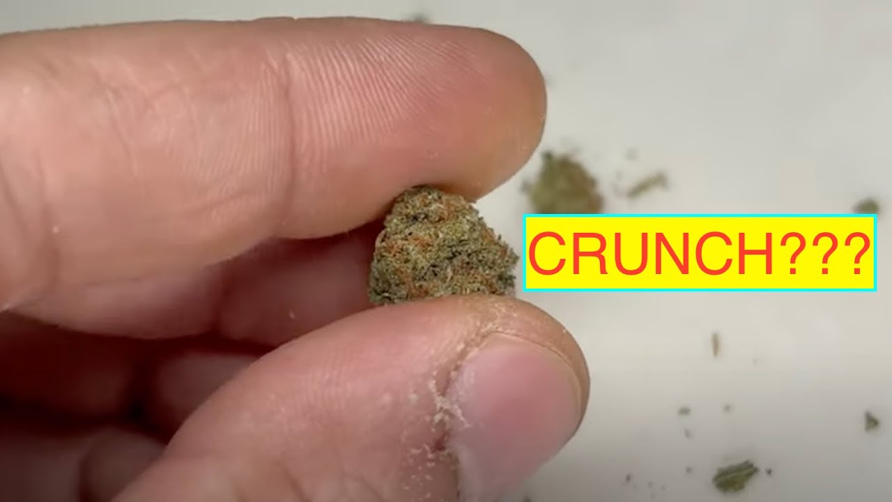 KAVIAR CORNBREAD FLOWER review- Bred by Rare Dankness&mdash; IL Strain Review