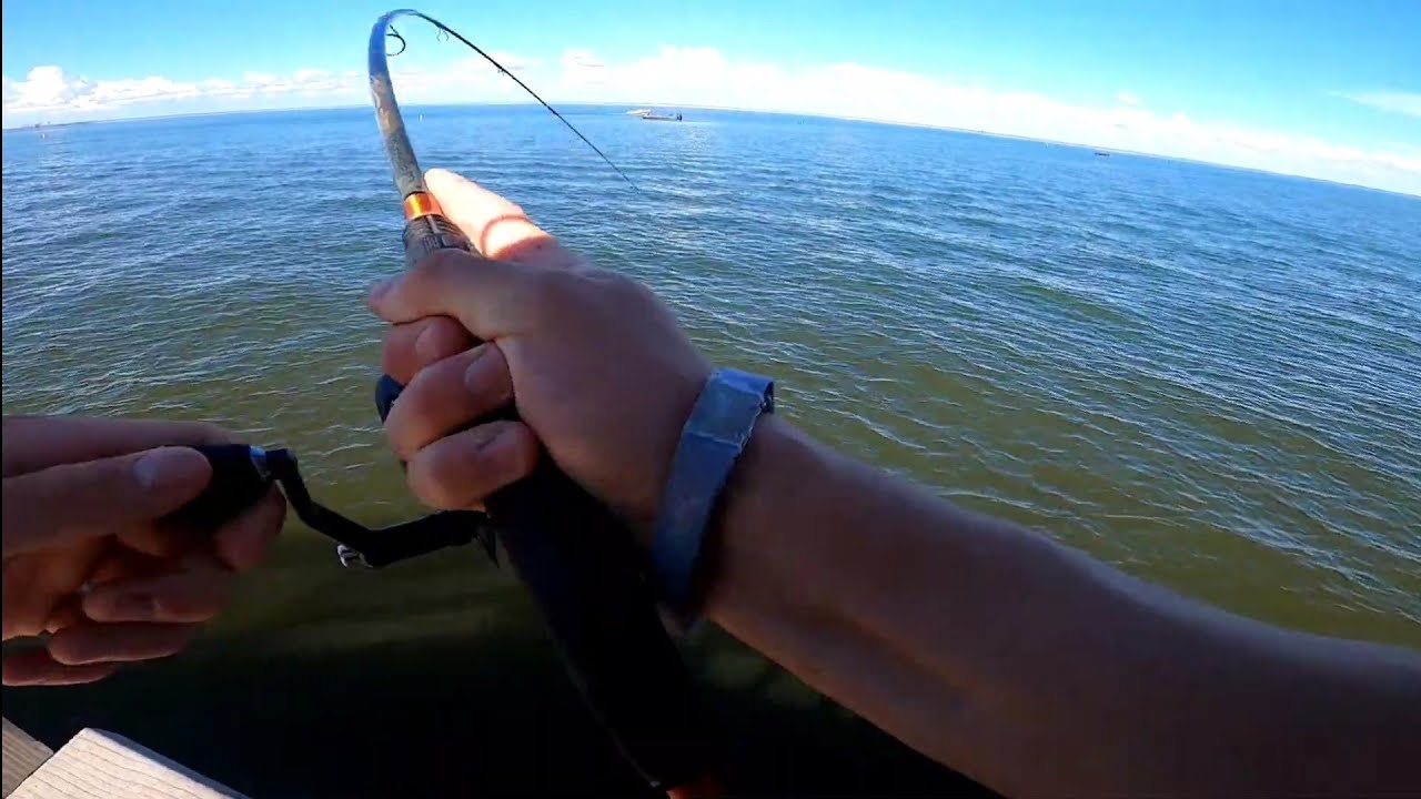Fishing Lake St. Clair Metropark June 2025