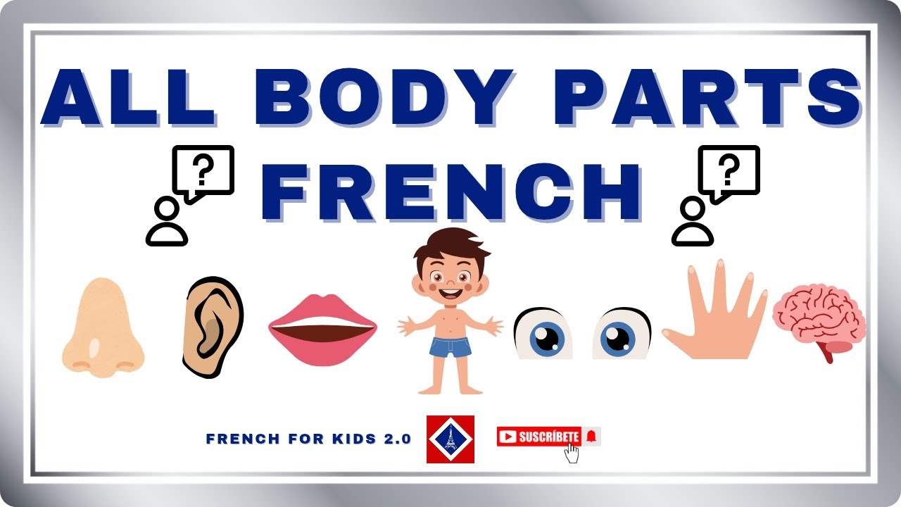 Body Parts in FRENCH | Watch and Learn | French for kids 2.0