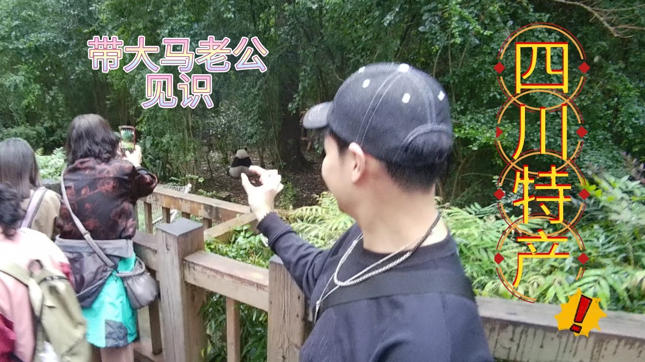中马夫妻速通成都两大顶流｜大熊猫繁育基地+三星堆博物馆到底值不值得去？