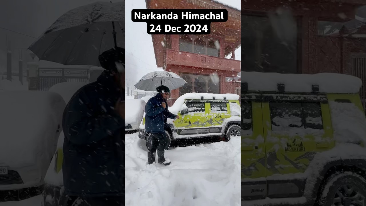 Narkanda Himachal Snowfall 24 Dec 2024 #shorts #snowfall