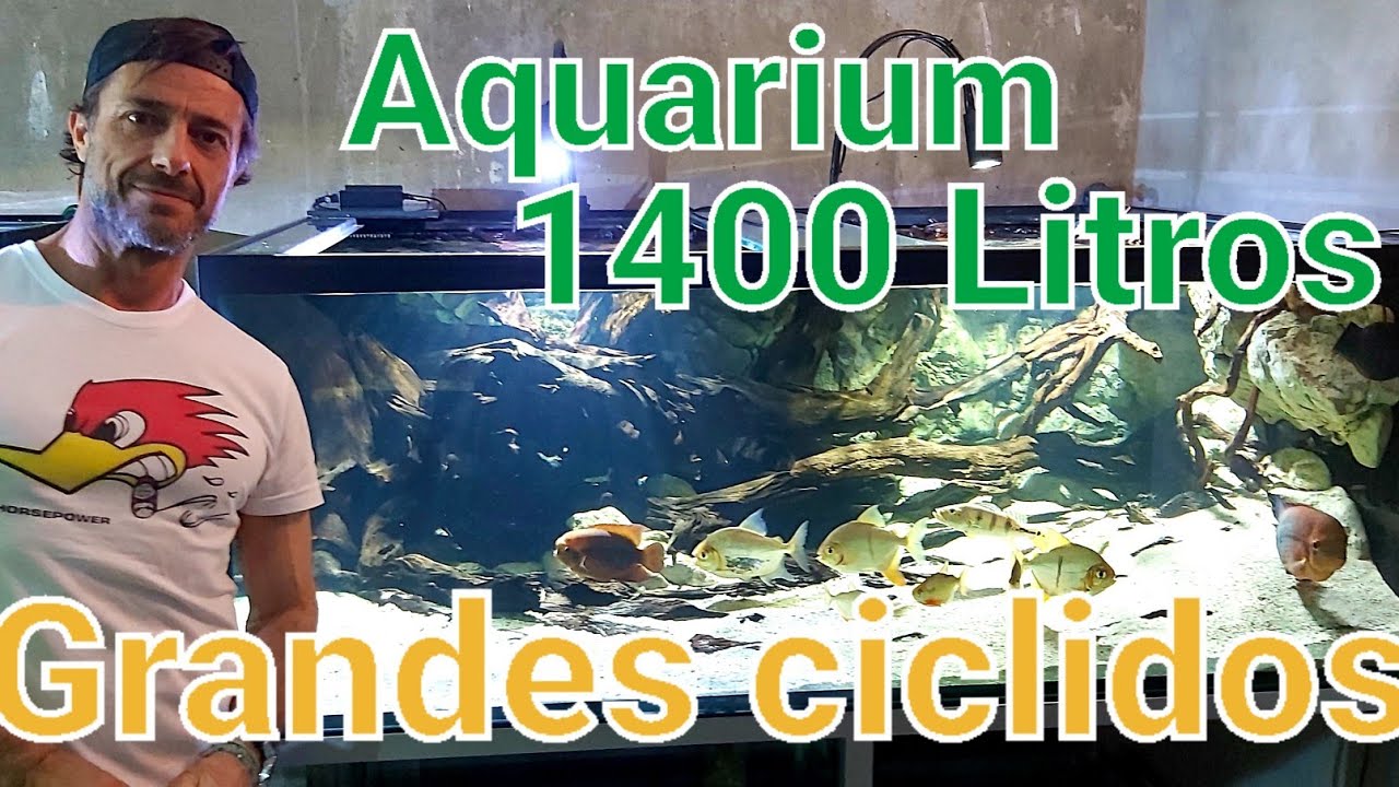 ACUARIO AMAZONICO PECES 1400 Litros | By Pablo.