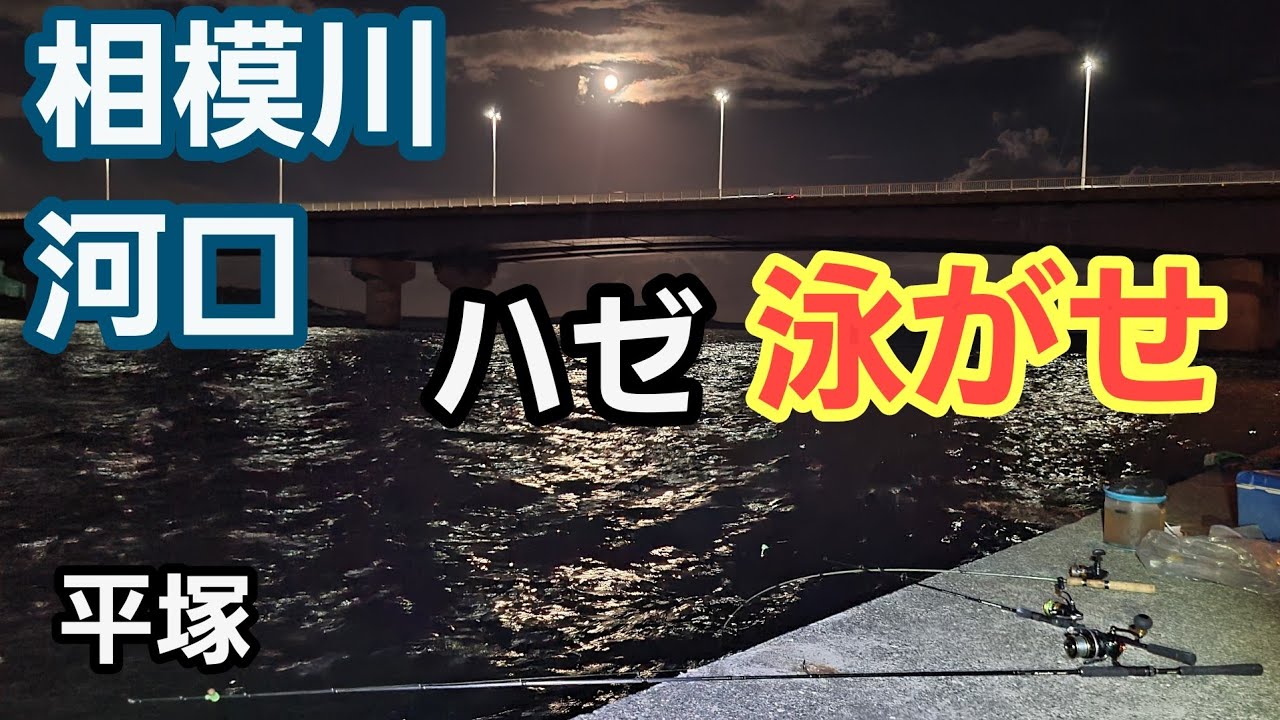【平塚 相模川河口】ハゼ泳がせ作戦！ 釣ったハゼを泳がせて大物狙い 2022年8月中旬  大潮　泳がせ釣り