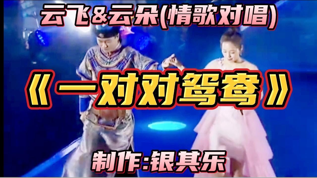 云飞&云朵、携手演唱《一对对鸳鸯》(配音)旋律优美#聆人陶醉...【银其乐】