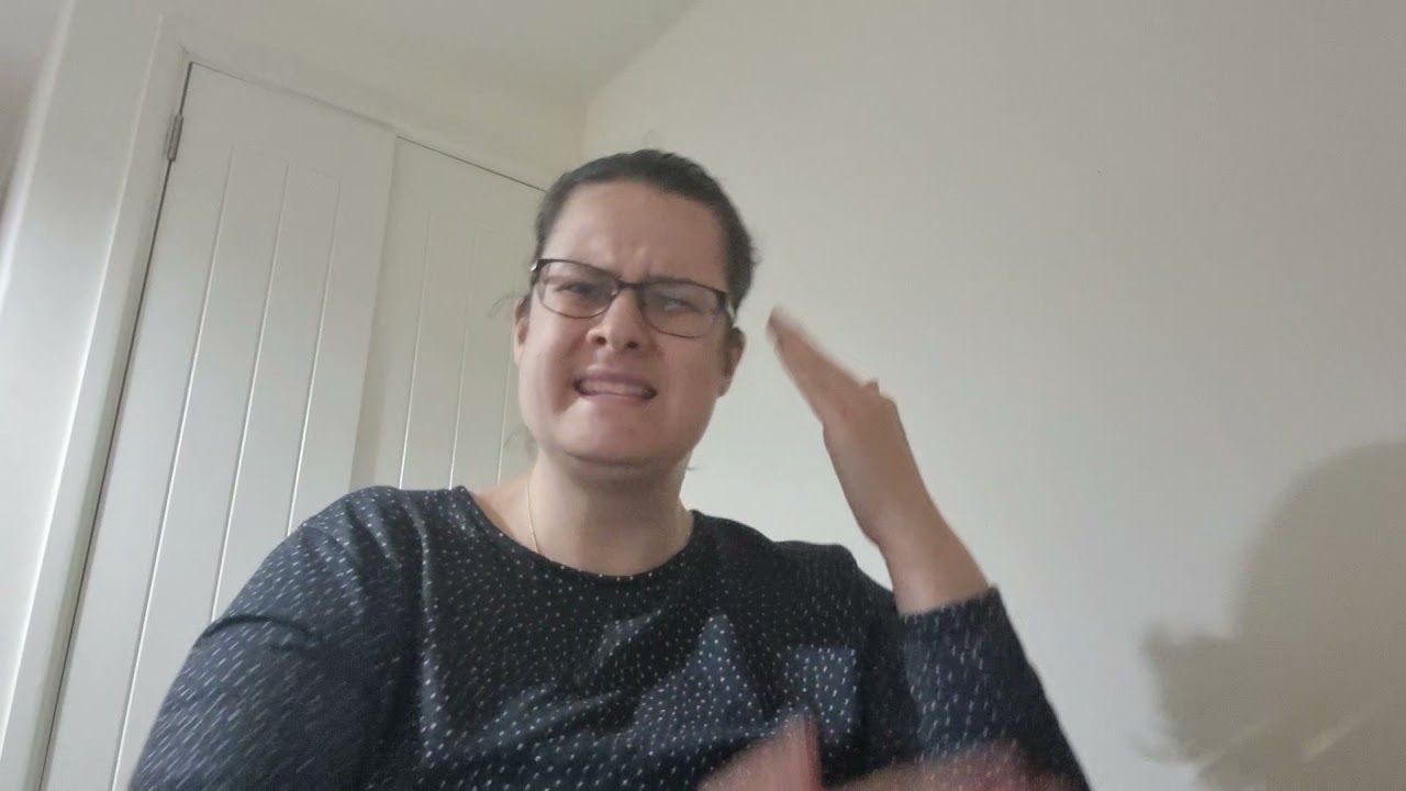 Speechless by Naomi Scott with Makaton signs