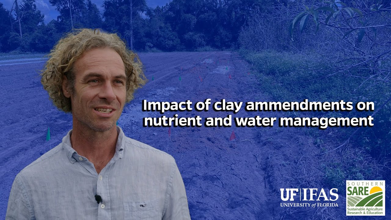 Impact of clay amendments on nutrient and water management - UF/IFAS SARE