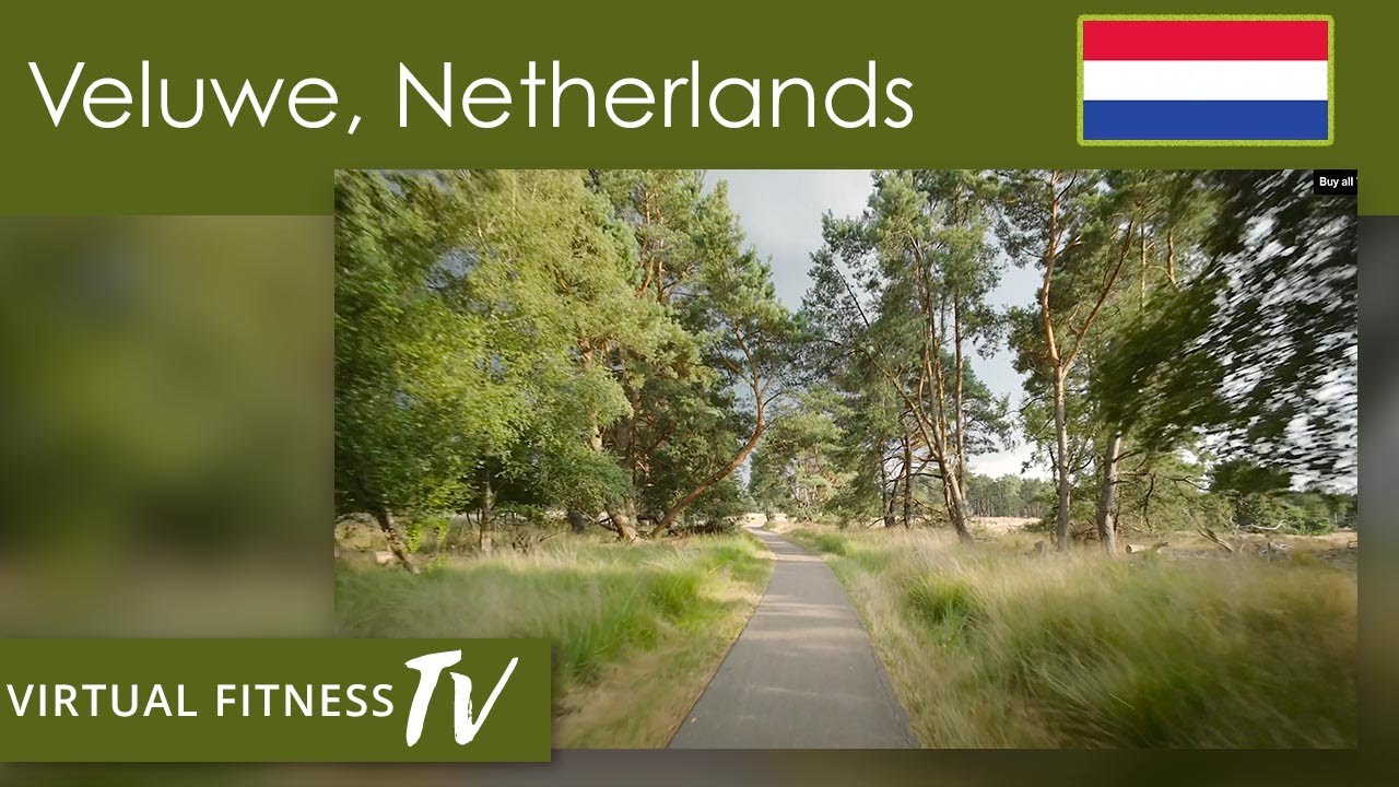 Virtual Cycle Ride through the Veluwe Region in the Netherlands