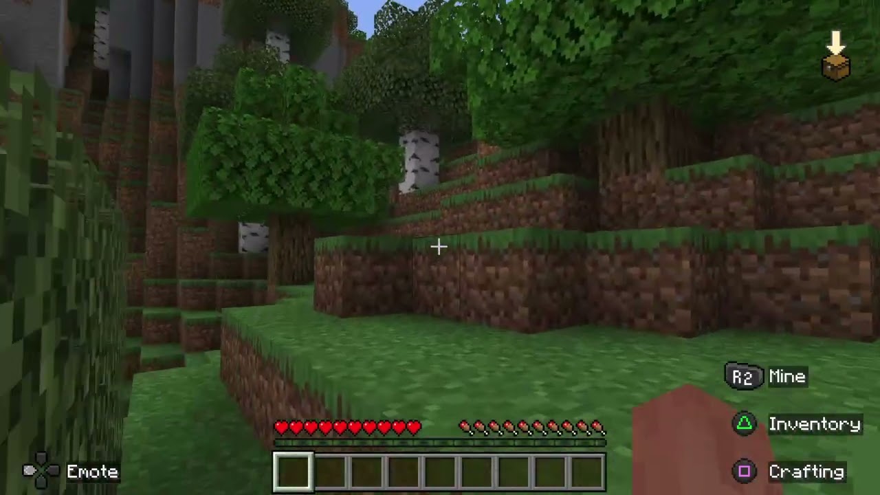 Minecraft-I hate leaves
