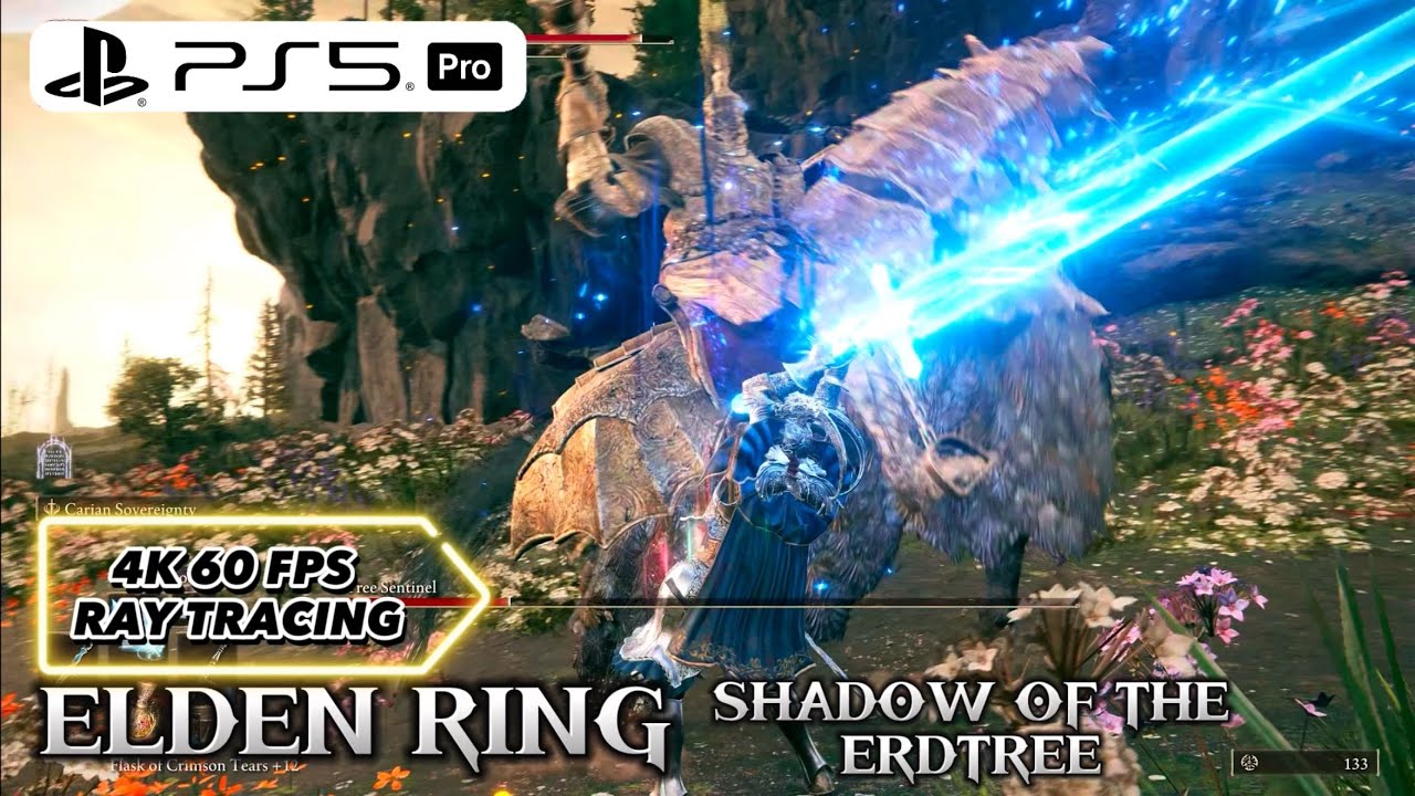 ELDEN RING SOTE 4K 60 FPS RAY TRACING PS5 PRO