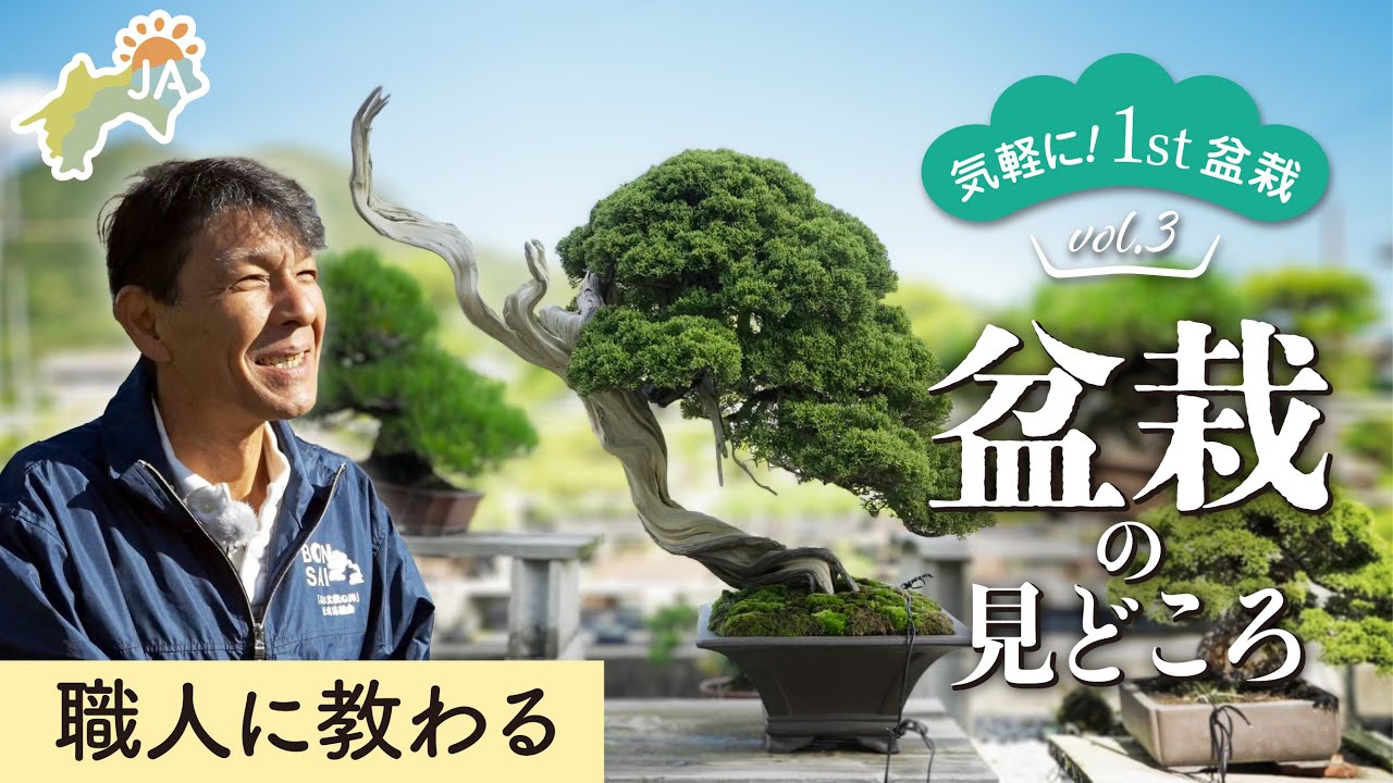 【気軽に！1st盆栽 vol.3】職人に教わる盆栽鑑賞時の見どころ