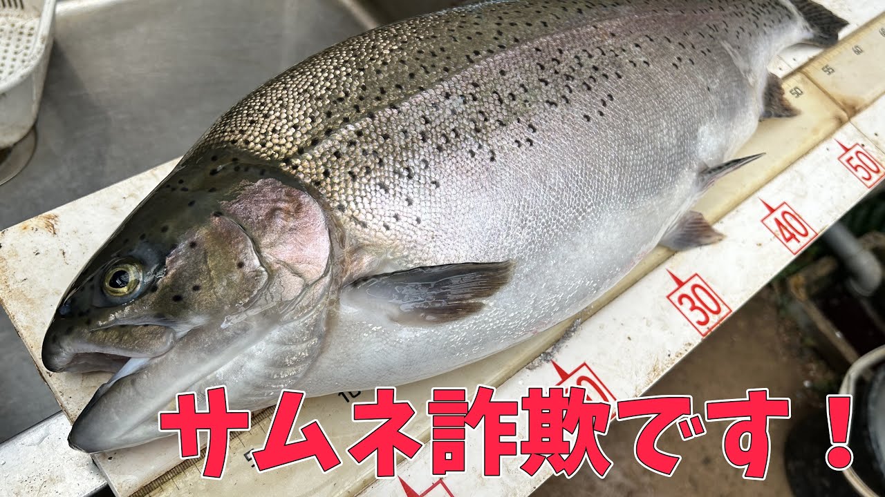 【サムネ詐欺】雨の日はいつも大爆釣？初心者でも簡単に大物が釣れる日とは！？in嵐山フィッシングエリア【エリアトラウト】【縦釣り】