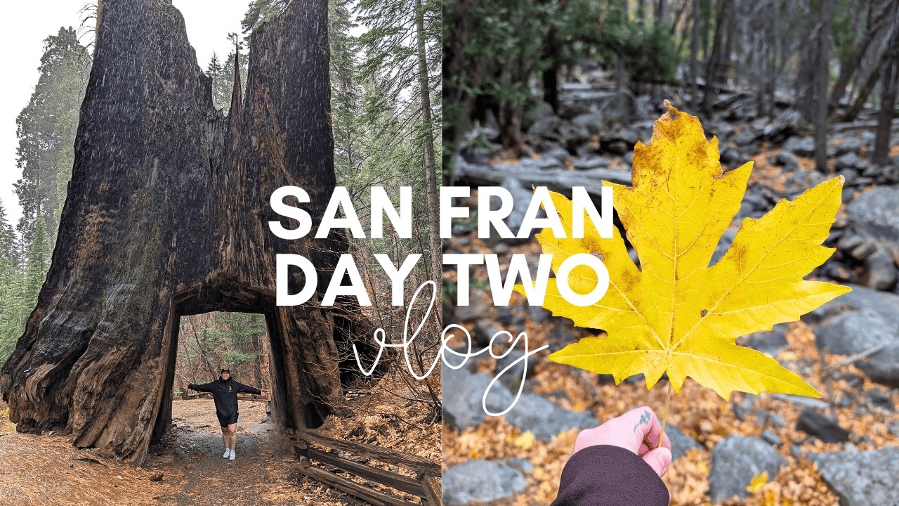 SAN FRANCISCO DAY TWO 🌲 Yosemite National Park - El Capitan, Half Dome and Tuolumne Grove 🚐
