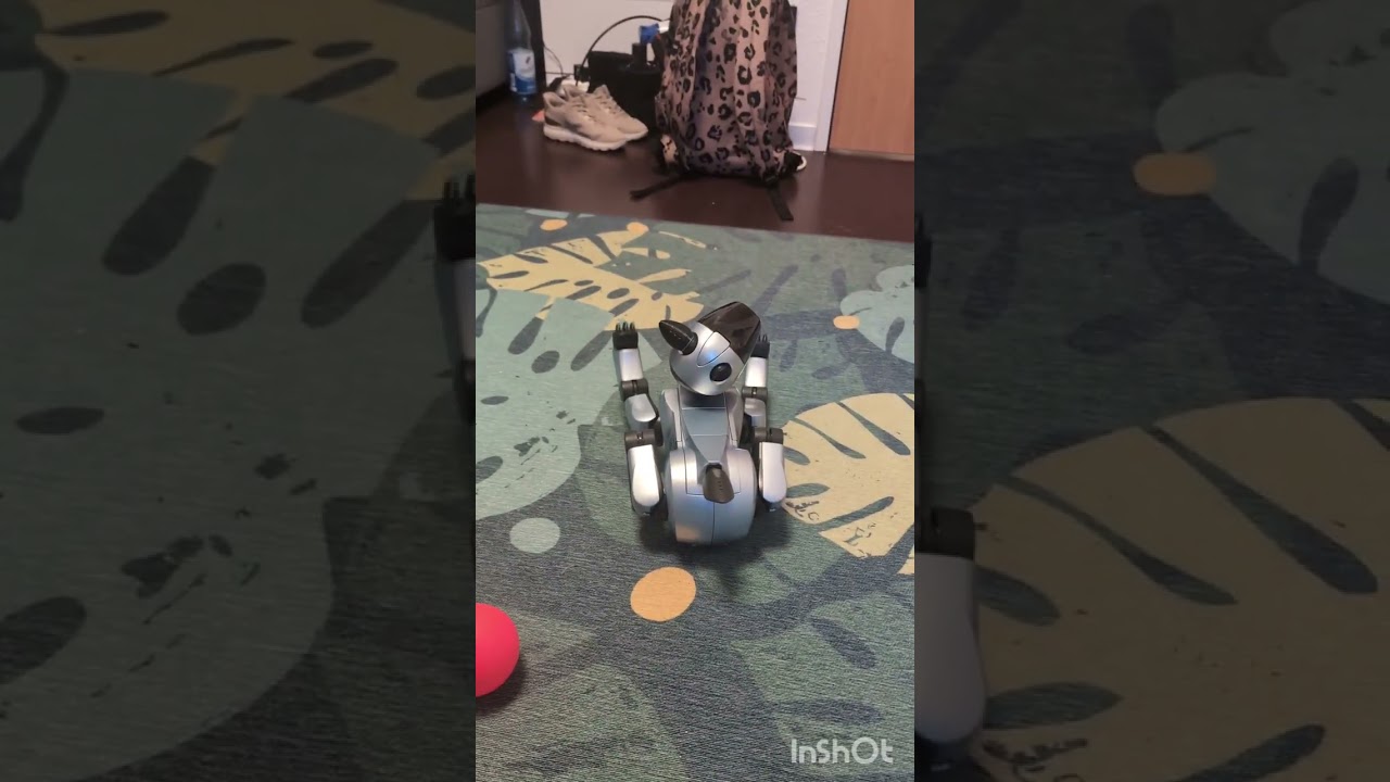 Jumpy my little Sony Aibo with DogsLife 