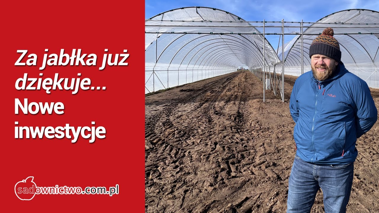 Sadu już nie ma... Super wczesna truskawka - Michał Stasiak