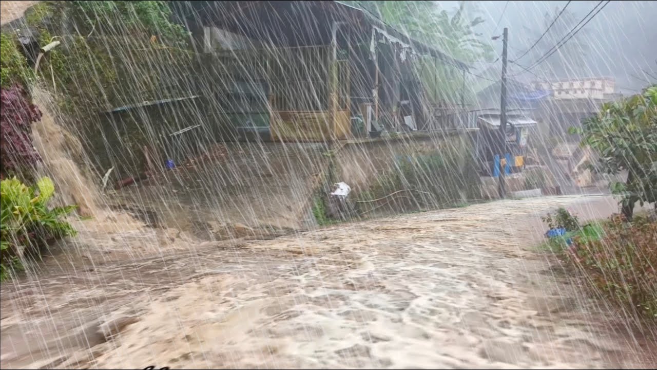 GOODBYE INSOMNIA | BEST RAIN FOR BEDTIME | RAIN AND THUNDER IN THE COUNTRYSIDE
