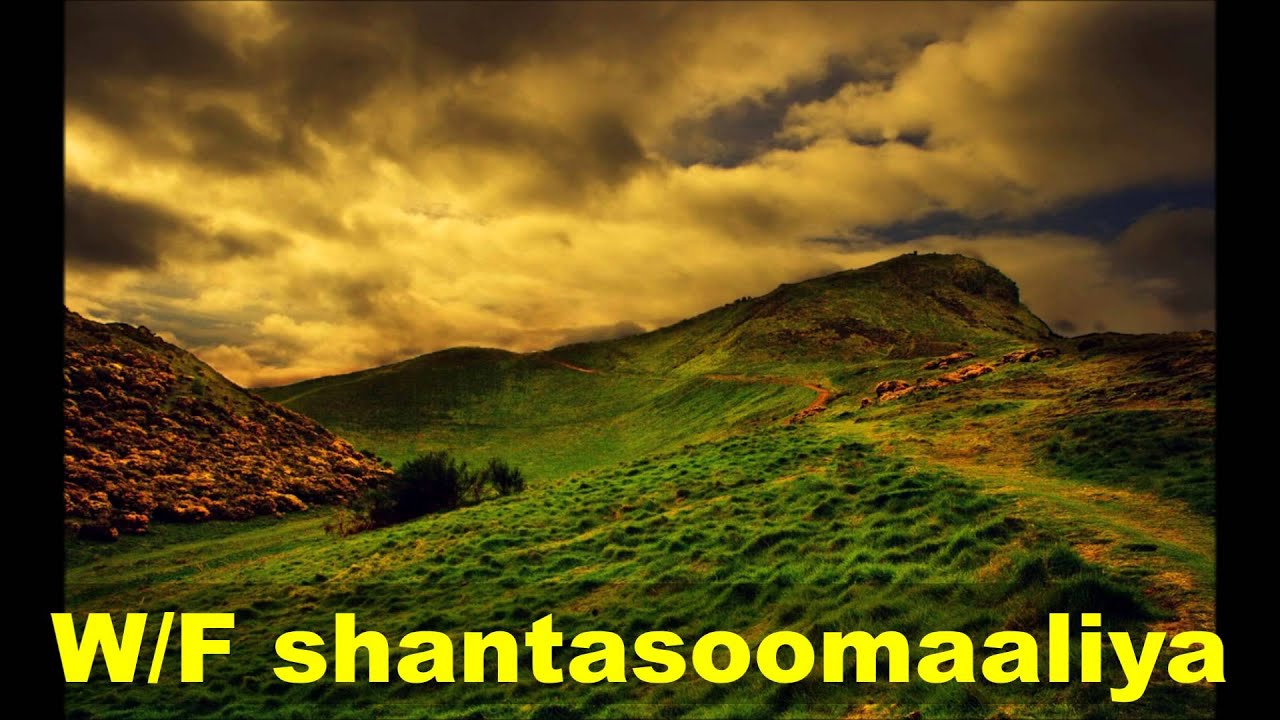 Balaayadiibaa fara ka badanaysa maalintan SHeekh Boqolsoon iyo qiyaamaha shantasoomaaliya