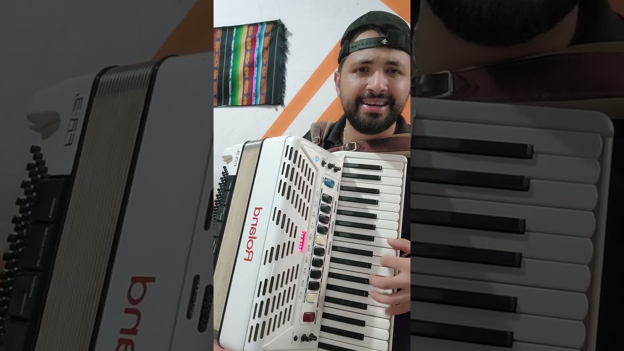 TUDO SOBRE A SANFONA ROLAND FR3X - FR3 S