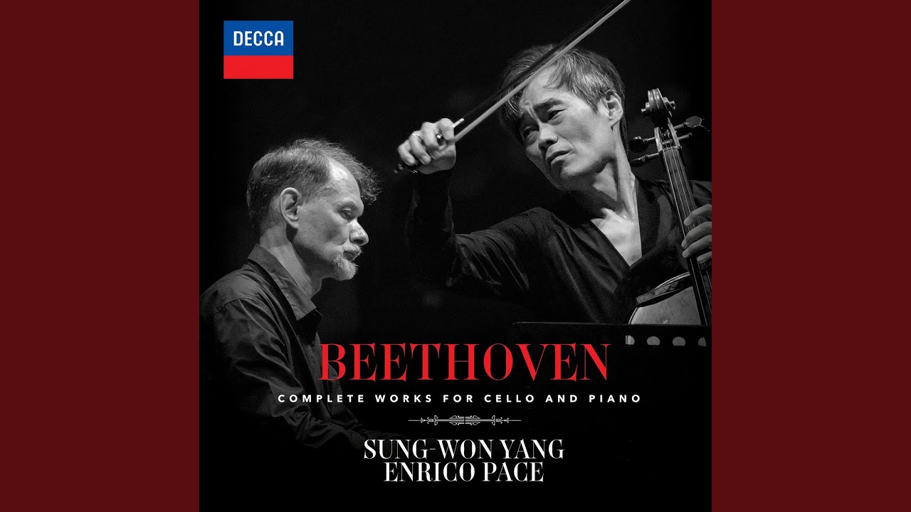 Beethoven: 12 Variations on 
