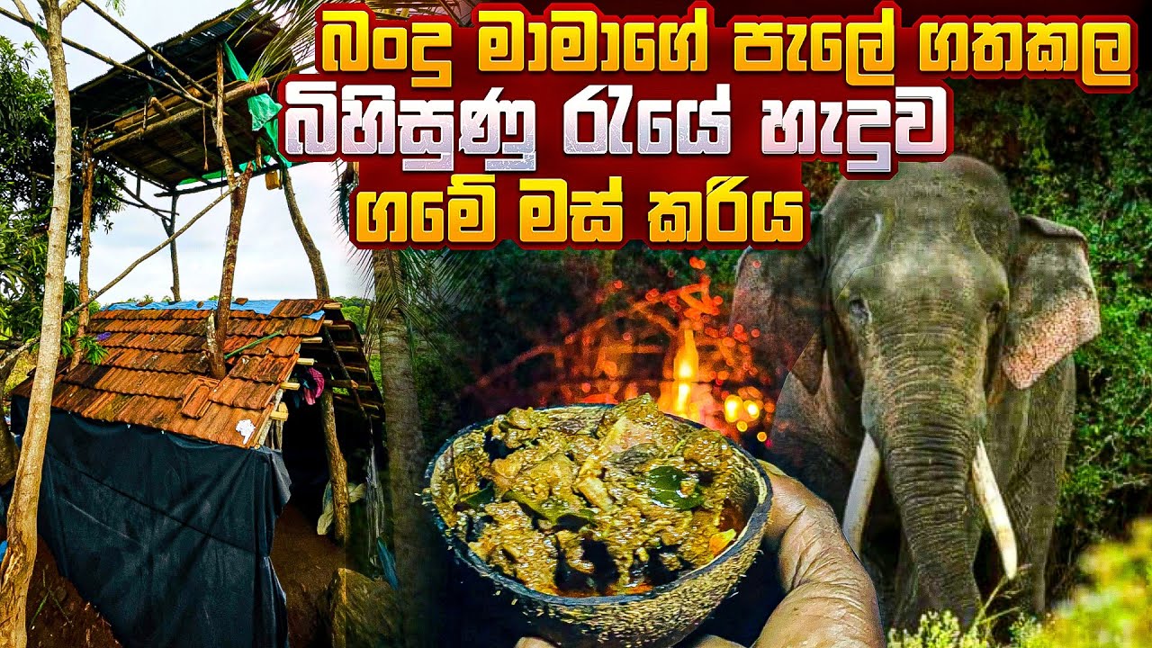 බංදු මාමාගේ පැලේ ගතකල බිහිසුණු රැයේ හැදුව ගමේ මස් කරිය #village 