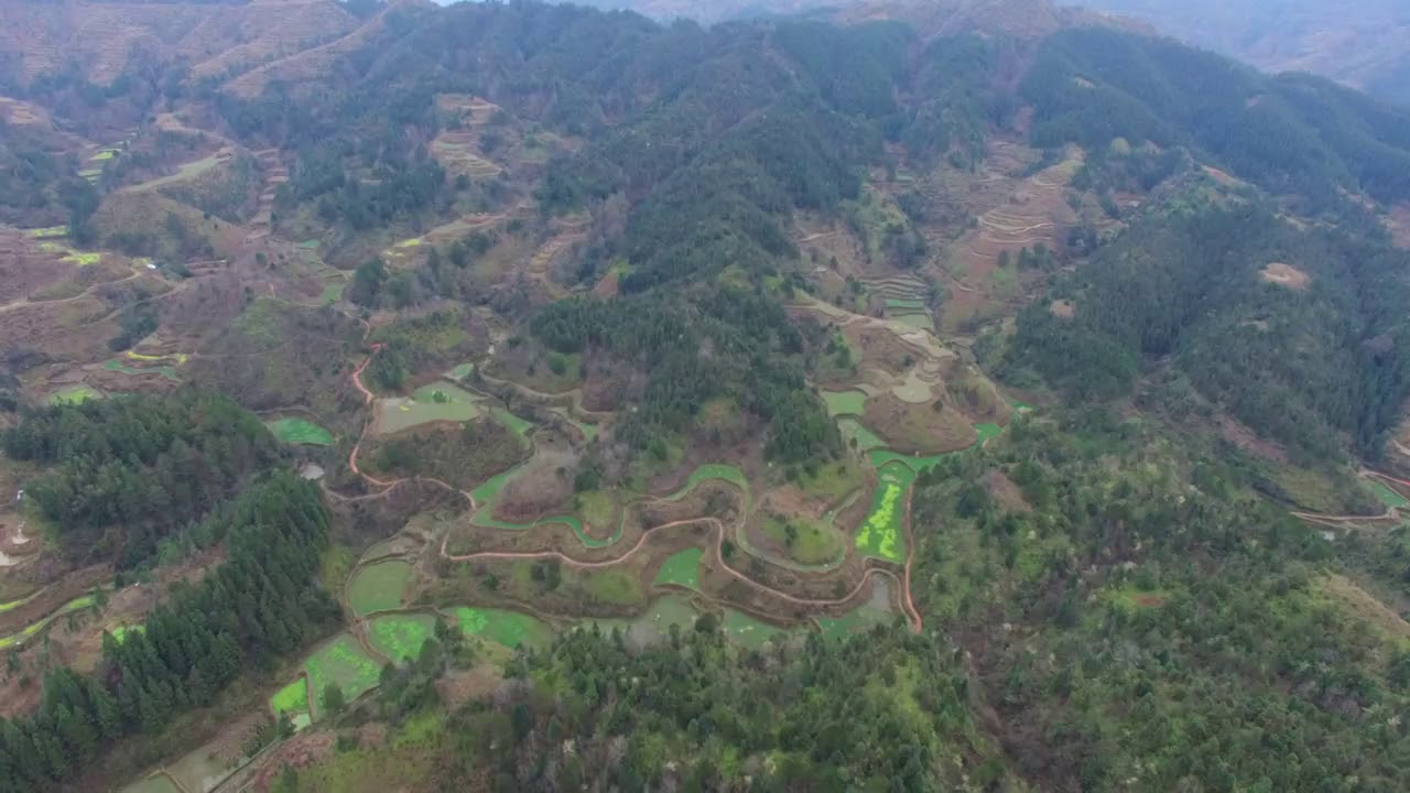 此地来龙有脉，案山极佳，格局合理，一个出富商的墓葬风水宝地