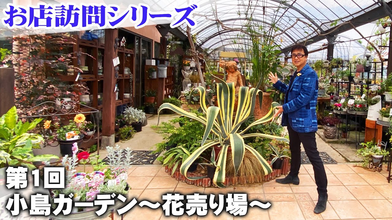 【お店訪問】第1回 和歌山市の名店『小島ガーデン』へ！巨大なアガベから季節の花にガーデン雑貨が揃う【ガーデニング】【園芸】