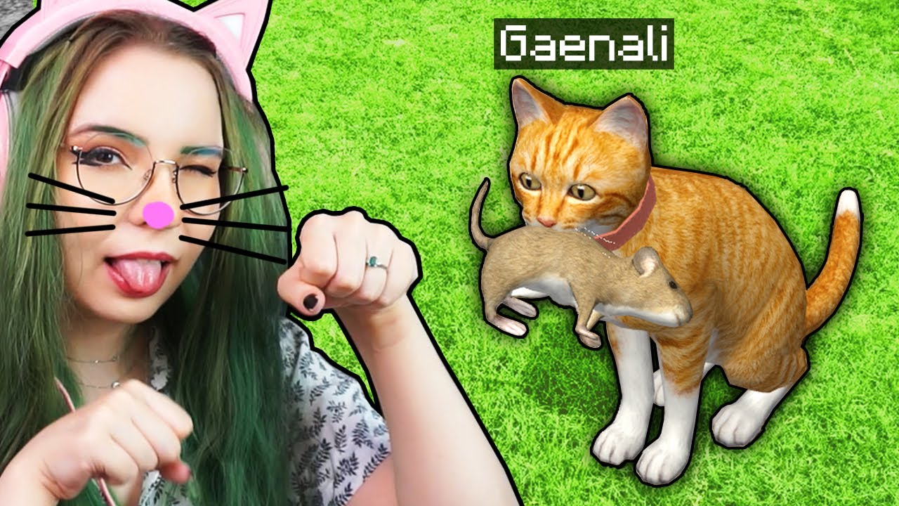 Gram jako UROCZY i POMOCNY KOCIAK, MIAU! 😻- Cat Simulator #01