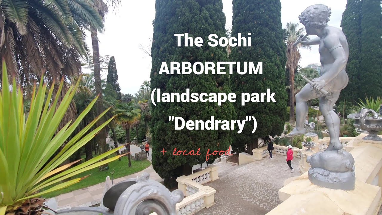 Subtropics. Sochi ARBORETUM, a landscape park 