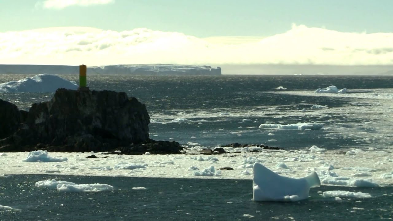 ANDREA JUAN - ART IN ANTARCTICA,  PRESENTATION, 2011