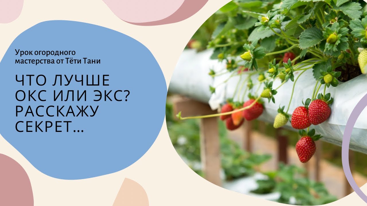 Что лучше ОКС или ЗКС...