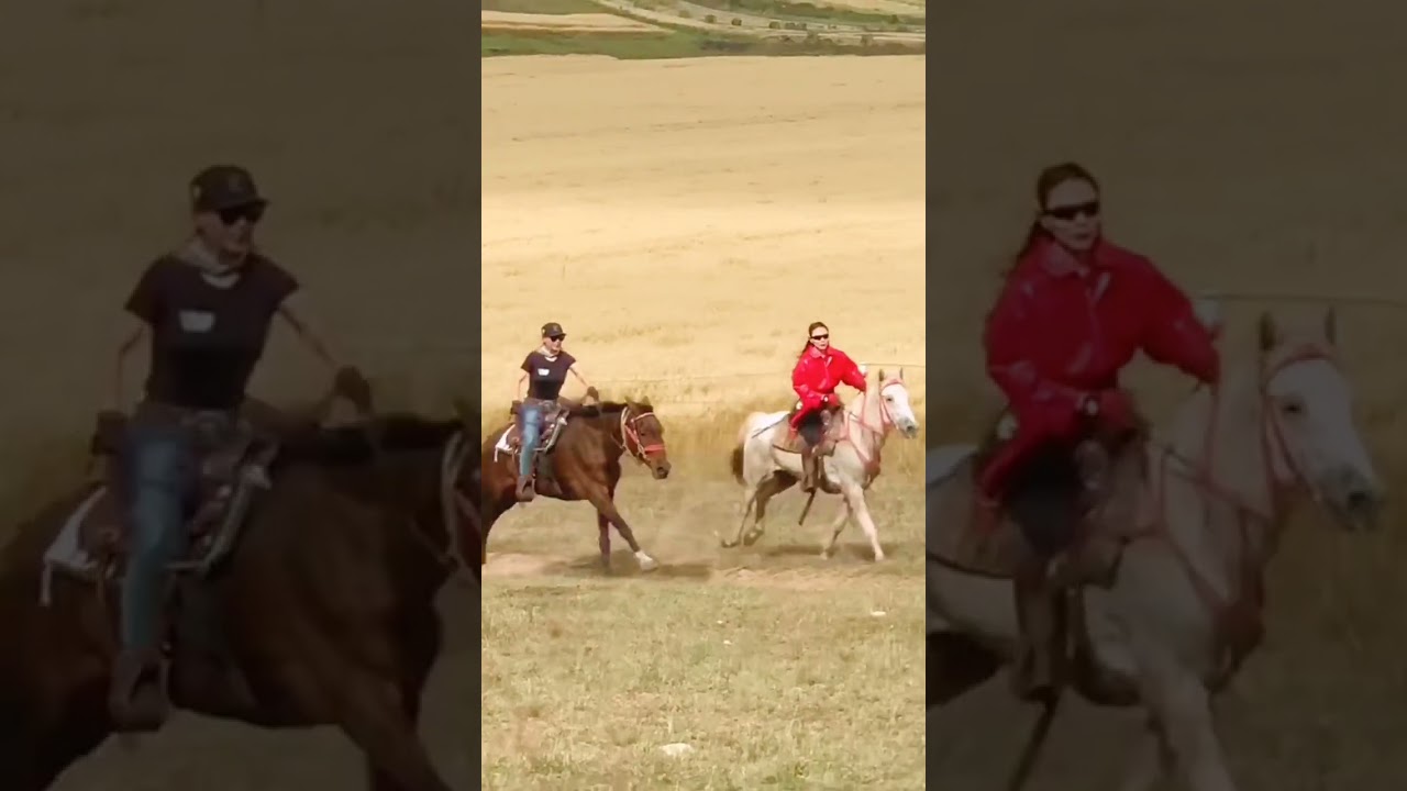 Girl care horse and training horse in beginner