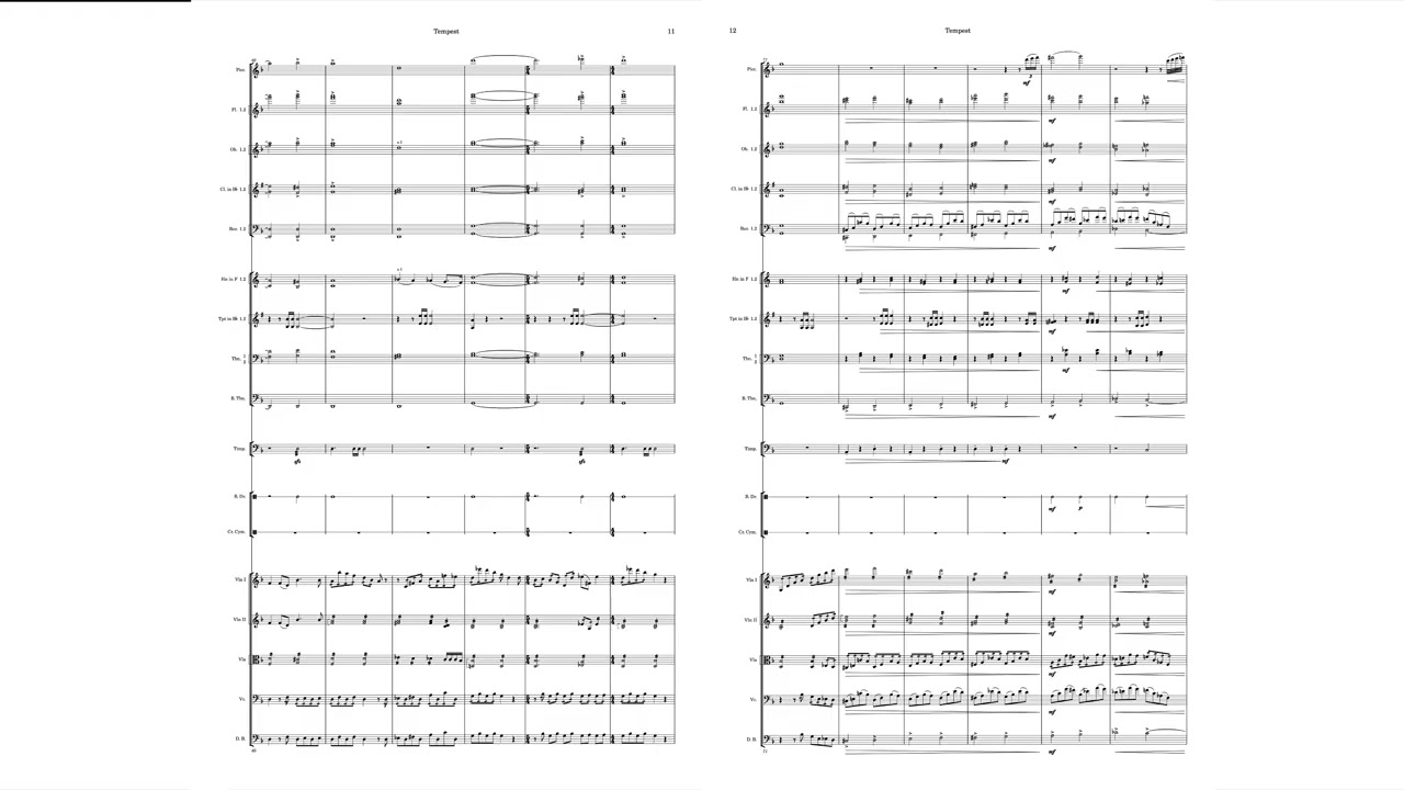 Joshua Goodell: Tempest for Orchestra