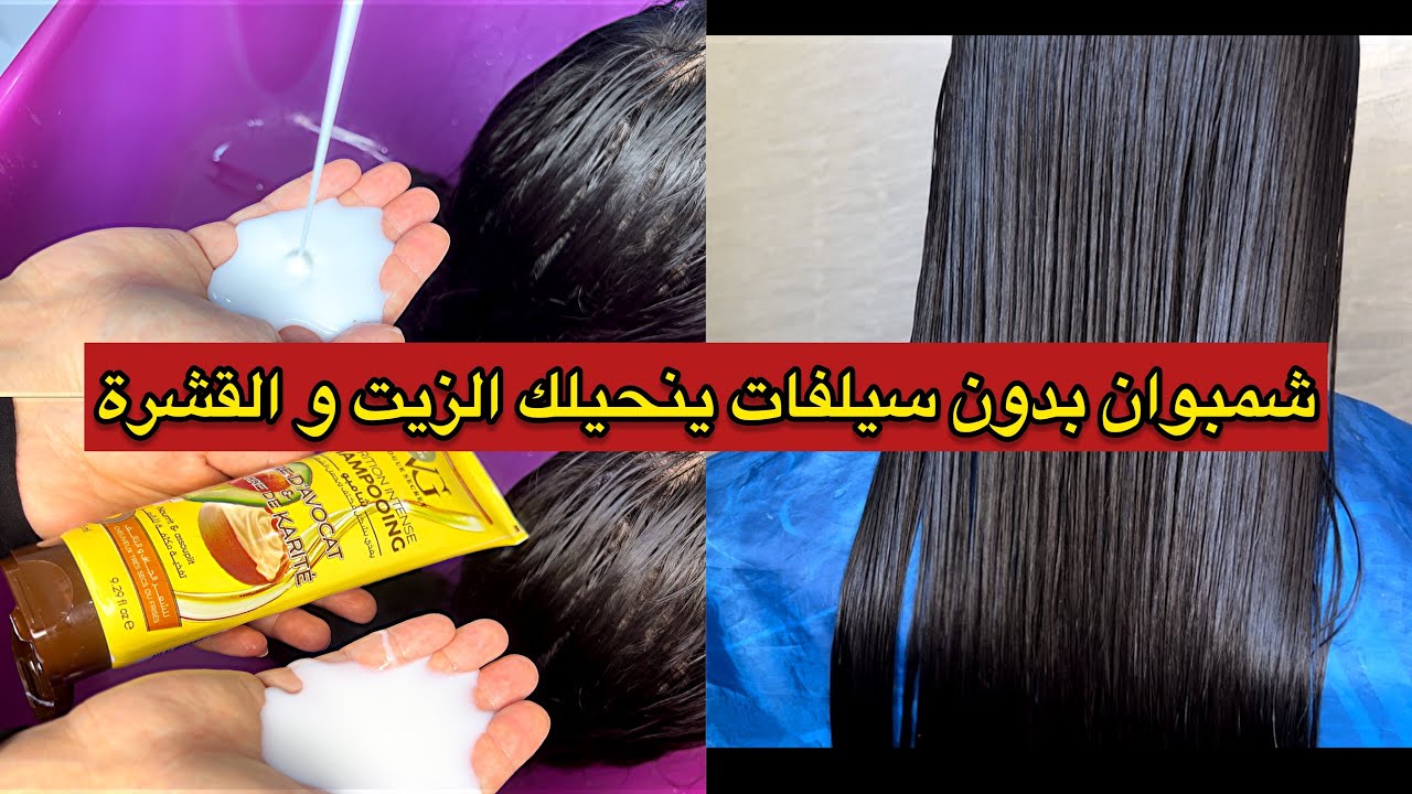 شمبوان رخيص 😇بدون سيلفات ينحيلك الزيت و القشرة لي في شعرك الى شعرك يزيت بالخف كرهتي منو لقيتلك الحل