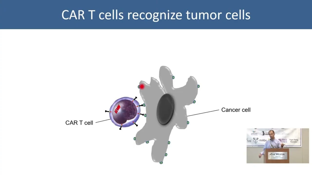 Dr. Andras Heczey, CAR-T Cell Trials