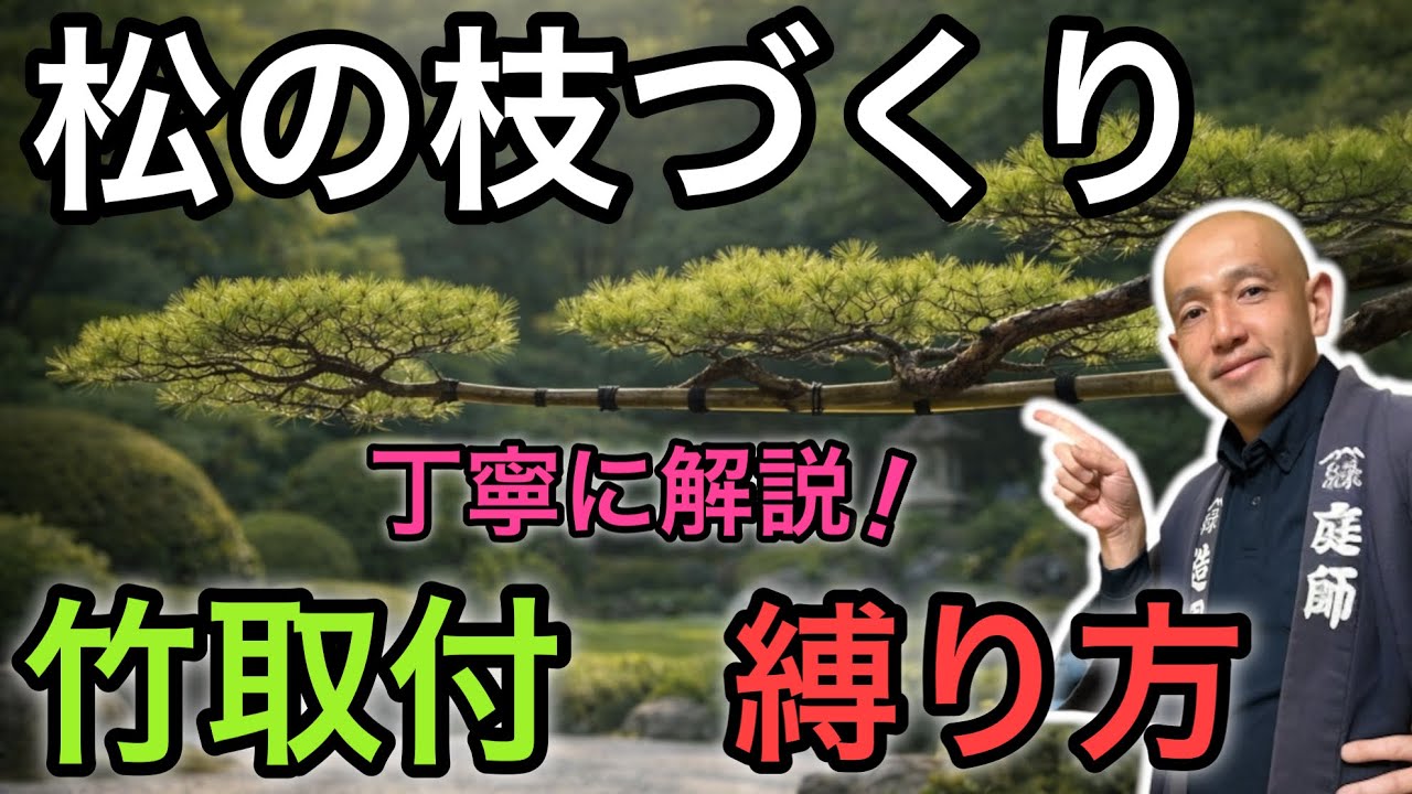 【切らずに導くという考え方】 松の枝を自然に整える「添え竹」の使い方