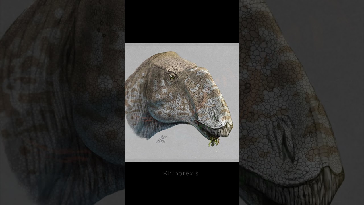 Rhinorex! Dino Short#78