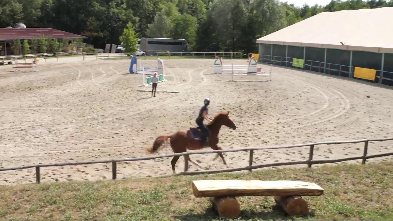 Tecnica equestre - Orlando Izzo e Silvano Galbiati