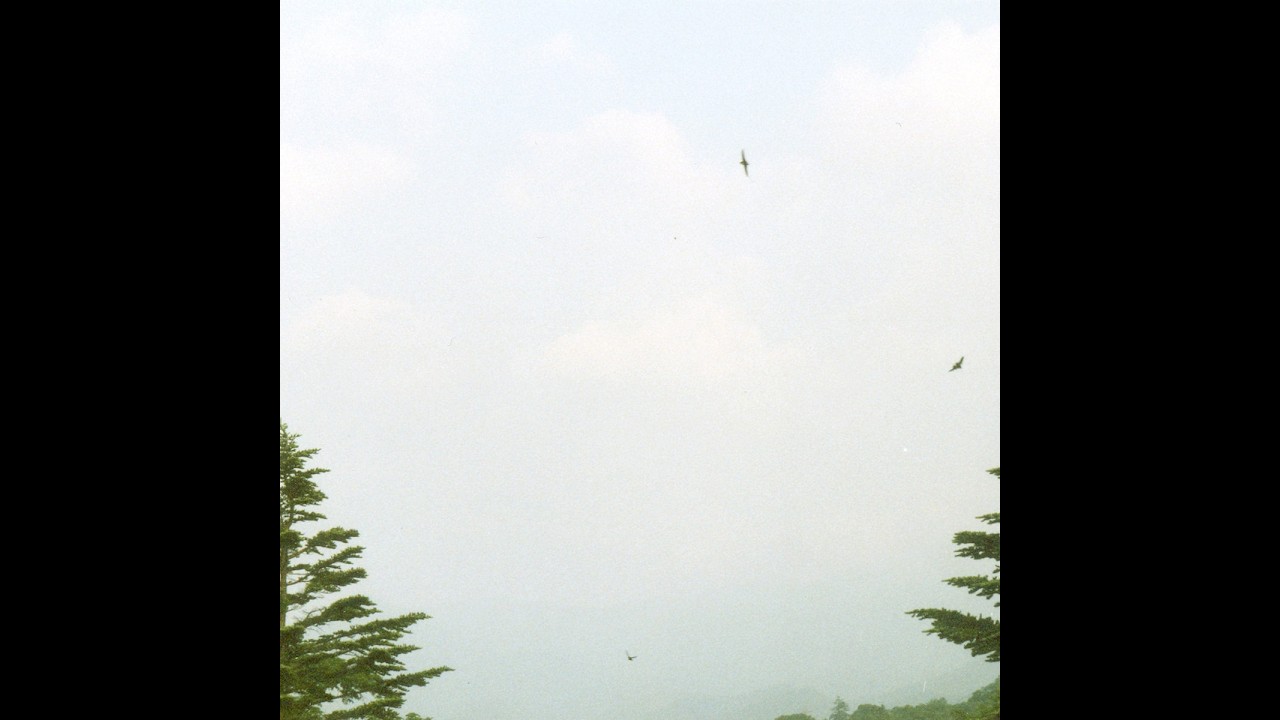yamabico / AMAGUMO